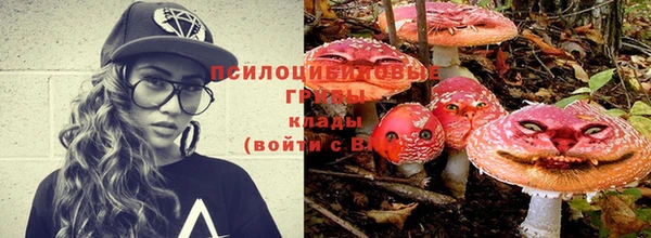 mdma Каменногорск