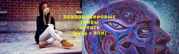 дмт Каменск-Шахтинский