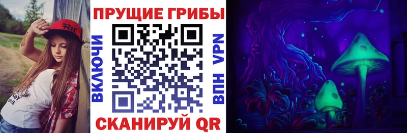 Псилоцибиновые грибы MAGIC MUSHROOMS  Купить закладки  Зеленогорск 